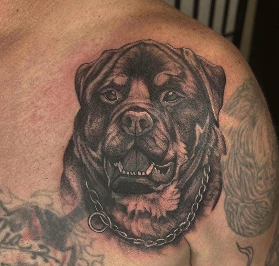 black grey rottweiler portrait shoulder tattoo by BG Galdes, Philadelphia PA