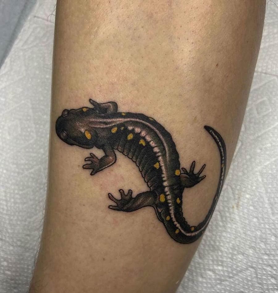 neo traditional spotted salamander leg tattoo by BG Galdes, Philadelphia PA