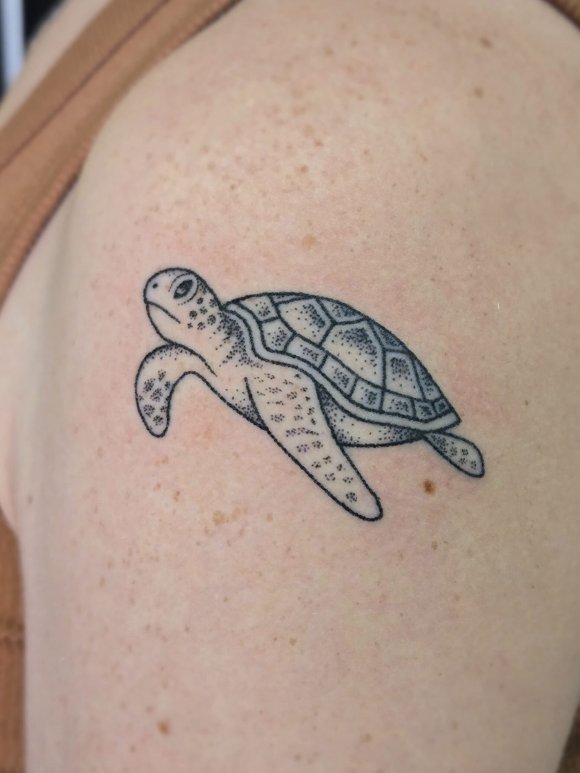 dotwork sea turtle shoulder tattoo by Bird, Philadelphia PA