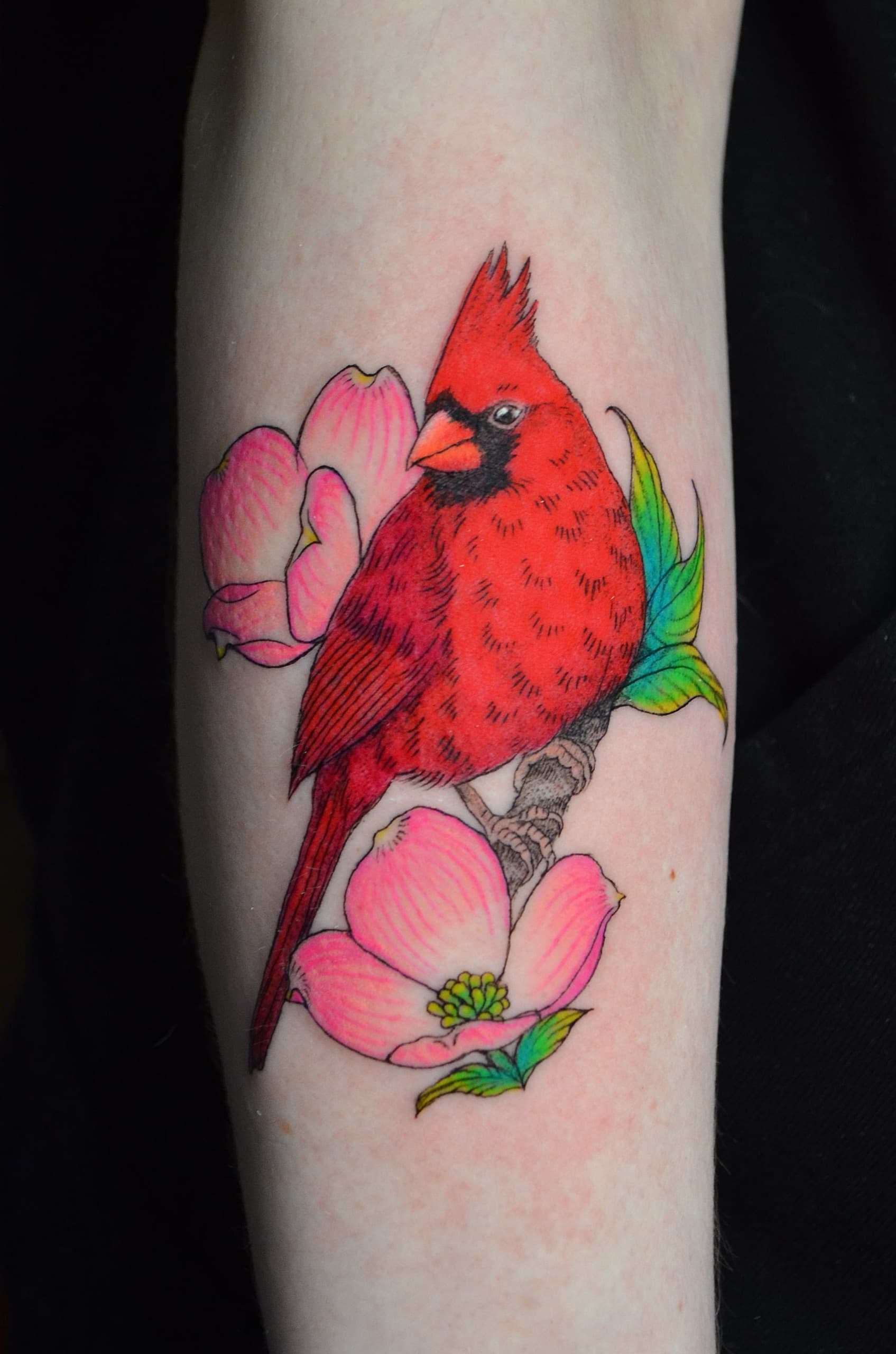 illustrative cardinal dogwood forearm tattoo by Bird, Philadelphia PA
