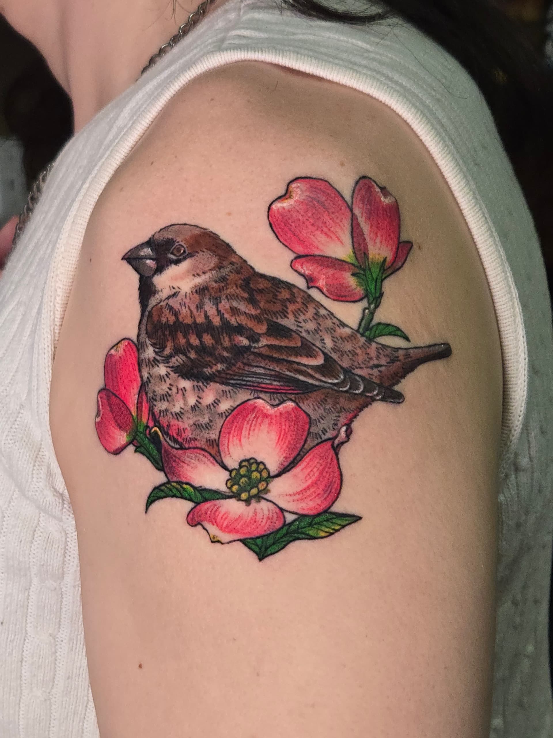 illustrative sparrow dogwood shoulder tattoo by Bird, Philadelphia PA