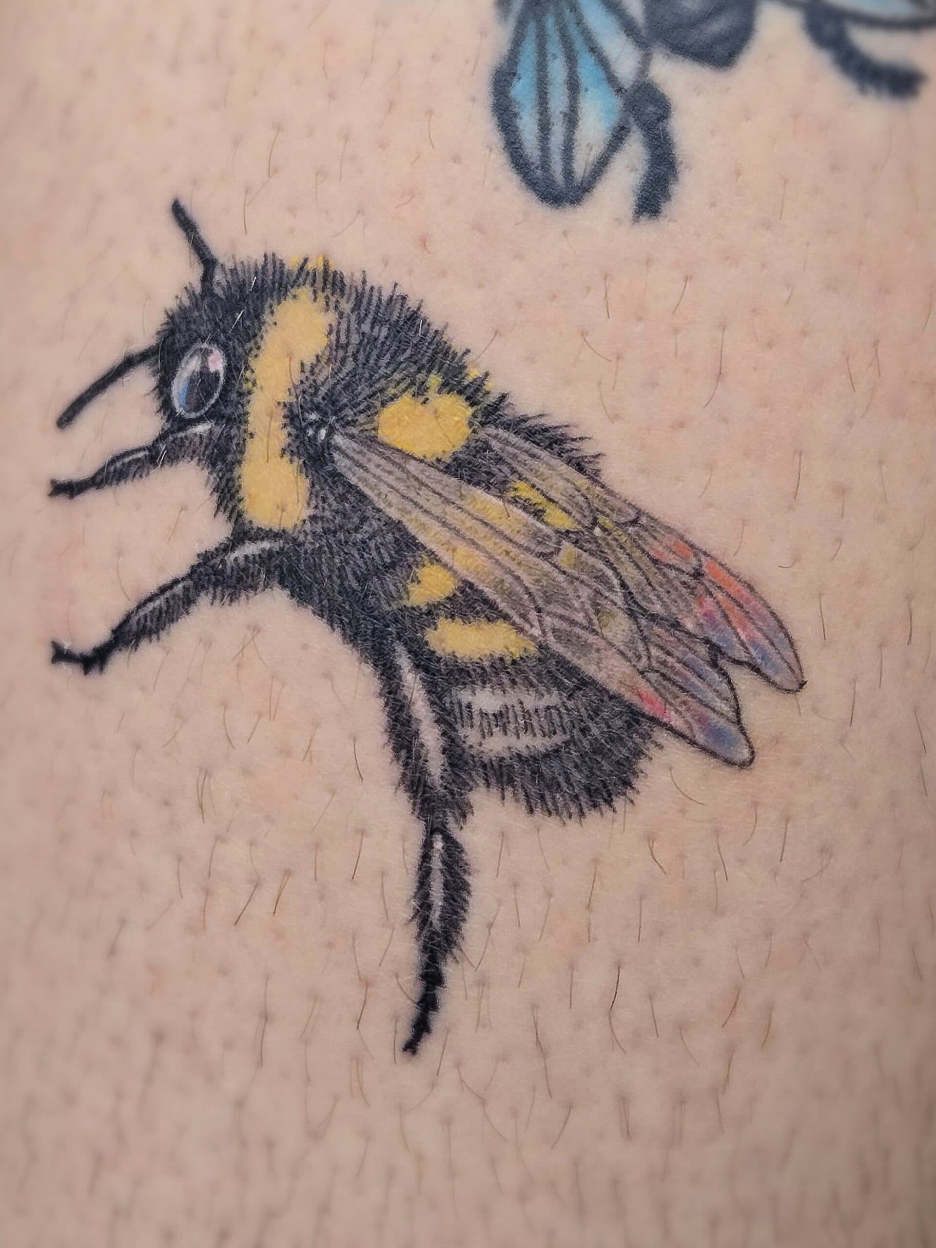 realism bumblebee leg tattoo by Bird, Philadelphia PA