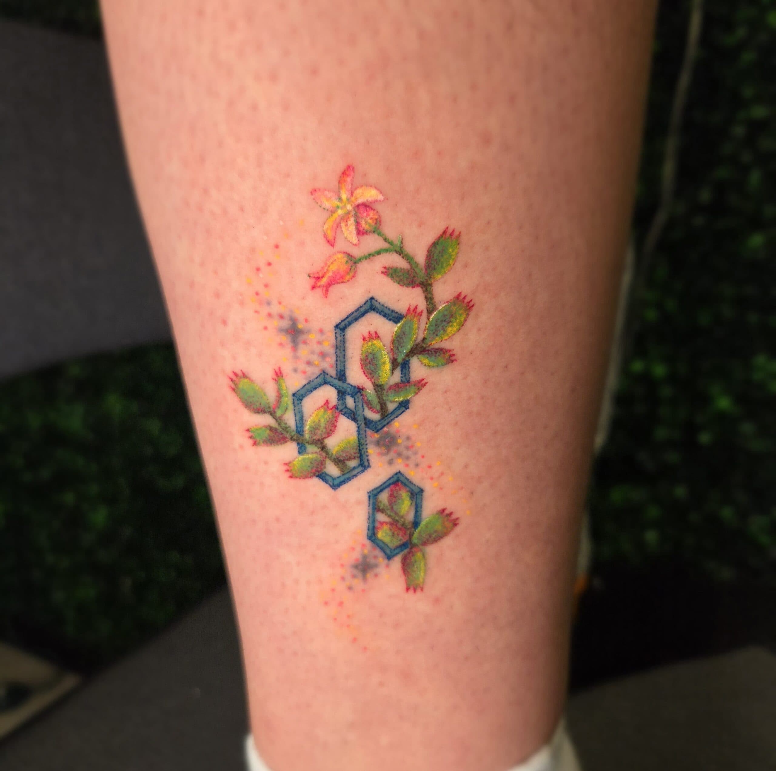 succulent geometric hexagon leg tattoo by Bird, Philadelphia PA