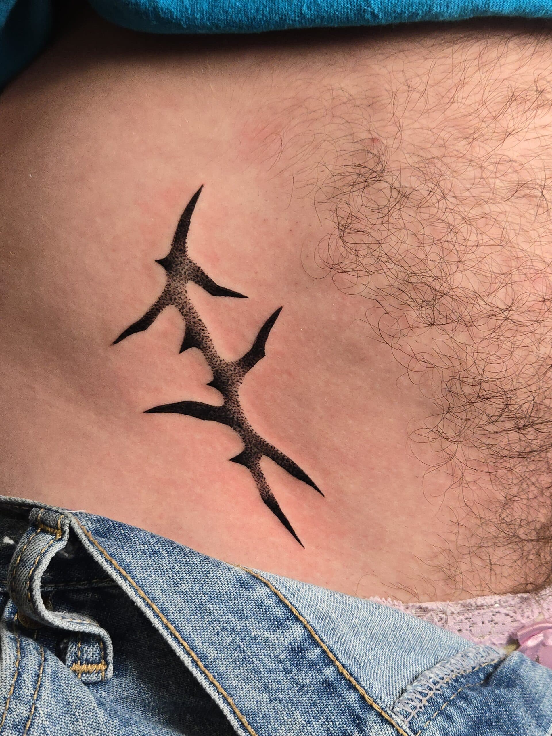 thorn branches hip tattoo by Bird, Philadelphia PA